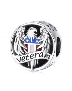 Charms for Bracelet, Fit Pandora Charms, Charms for Pandora Bracelet, 925 Sterling Silver Charms, USA Veteran Charm
