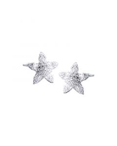 Star Zircon Stud Earrings, Simple Design Earrings, Minimalist Design Earrings, 925 Sterling Silver Earrings, Star Jewelry
