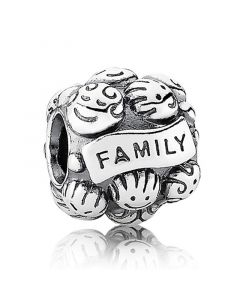 Charms for Bracelet,925 Sterling Silver Charms,Love & Family Charm,Charms for Pandora Charm Bracelet,Pandora Charms
