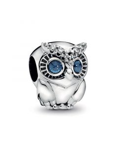 Sparkling Owl Charm,Charms for Bracelet,Pandora Charms,925 Sterling Silver Charms,Charms for Pandora Charm Bracelet