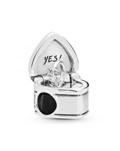 For Pandora Charm Bracelet,925 Sterling Silver Charms,Our Promise Charm,Pandora Charms,Charms for Pandora Charm Bracelet,Charms for Bracelet