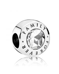 Pandora Charms,Charms for Pandora Charm Bracelet,925 Sterling Silver Charms,Family Forever Round Crystal Bead Charm,Charms for Bracelet