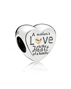 925 Sterling Silver Charms,Pandora Charms,Heart of Family Charm,Charms for Pandora Charm Bracelet,Charms for Bracelet