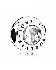 Pandora Charms,Charms for Bracelet,Love is Forever Charm,925 Sterling Silver Charms,Charms for Pandora Charm Bracelet