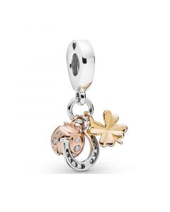 Horseshoe Clover Ladybird Dangle Charm,Pandora Charms,925 Sterling Silver Charms,Charms for Bracelet,Charms for Pandora Charm Bracelet