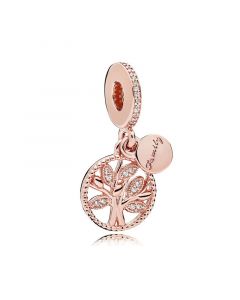 Pandora Charms,Charms for Pandora Charm Bracelet,Charms for Bracelet,925 Sterling Silver Charms,Rose Clear CZ Family Heritage Dangle