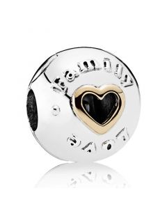 Charms for Pandora Charm Bracelet,925 Sterling Silver Charms,Pandora Charms,Charms for Bracelet,Family and Love Clip