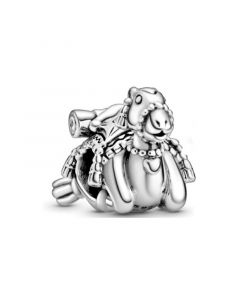 Pandora Charms,Charms for Pandora Charm Bracelet,Charms for Bracelet,925 Sterling Silver Charms,Camel Tassels Charm