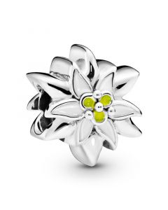 For Pandora Charm Bracelet,Charms for Bracelet,Edelweiss Charm,925 Sterling Silver Charms,Pandora Charms,Charms for Pandora Charm Bracelet