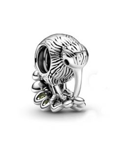 Charms for Pandora Charm Bracelet,925 Sterling Silver Charms,Kiwi Bird Charm,For Pandora Charm Bracelet,Pandora Charms,Charms for Bracelet