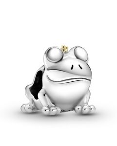 Pandora Charms,Charms for Bracelet,925 Sterling Silver Charms,Frog Prince Charm,For Pandora Charm Bracelet,Charms for Pandora Charm Bracelet