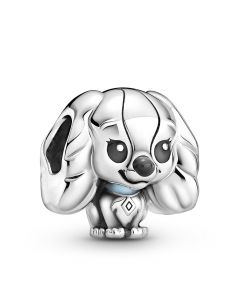 925 Sterling Silver Charms,Charms for Bracelet,Pandora Charms,Charms for Pandora Charm Bracelet,For Pandora Charm Bracelet,Lady Enamel Charm