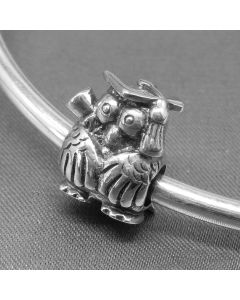Owl Doctor Charm,Pandora Charms,For Pandora Charm Bracelet,Charms for Bracelet,925 Sterling Silver Charms,Charms for Pandora Charm Bracelet