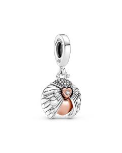 Charms for Pandora Charm Bracelet,Pandora Charms,Pandora Club 2022 Ladybird & Heart Zircon Dangle Charm,925 Sterling Silver Charms