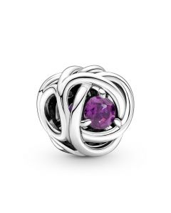 Pandora Charms,925 Sterling Silver Charms,Charms for Pandora Charm Bracelet,February-Amethyst Purple Eternity Circle Birthstone Zircon Charm